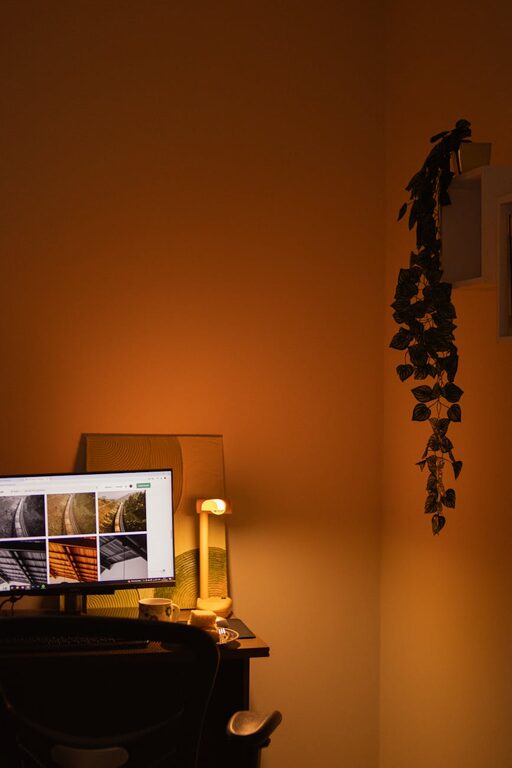 Tips for Creating a Cozy and Functional Home Workspace