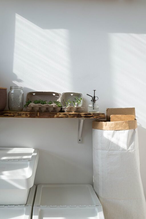 Practical Tips for Creating an Eco-Friendly Home on a Budget